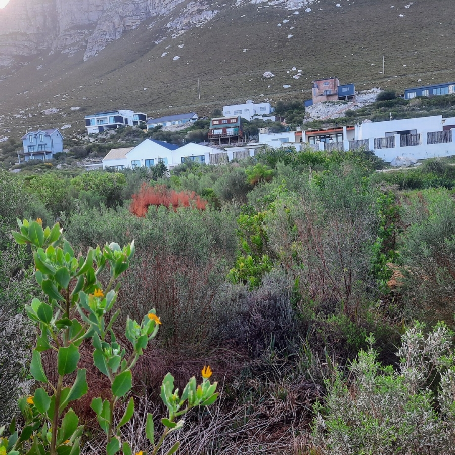 0 Bedroom Property for Sale in Sunny Seas Estate Western Cape